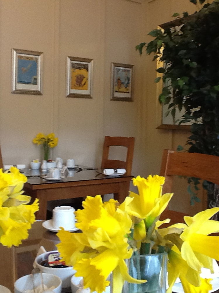 The Groveside Guest House Sidmouth Exteriér fotografie